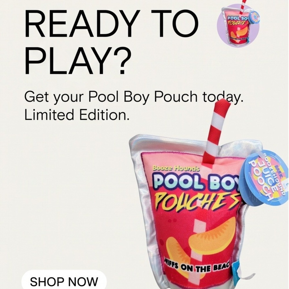 Bark Box Boozehound Juice Pooch Pool Boy Pouches Dog Toy Large Pink Silver NWT - Picture 9 of 9